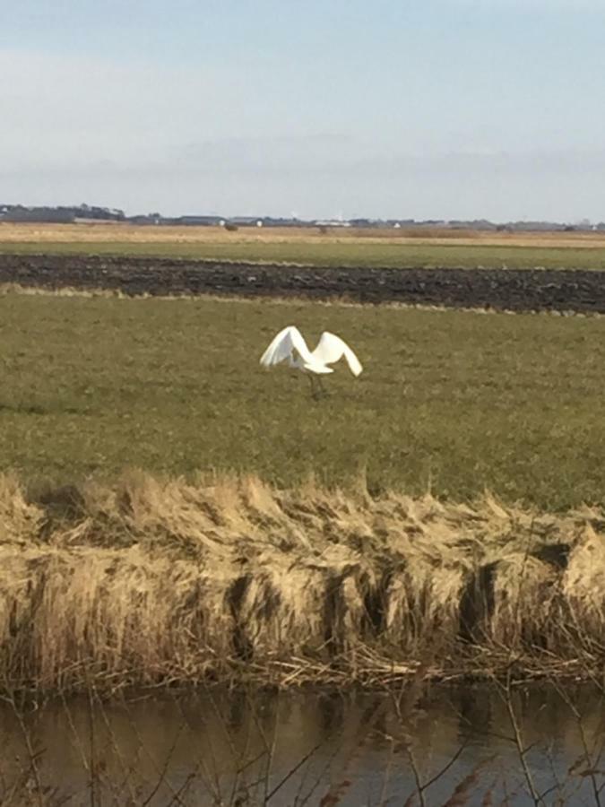 A Big Holidayhouse Rømø-Rim-Ribe Skærbæk Eksteriør billede